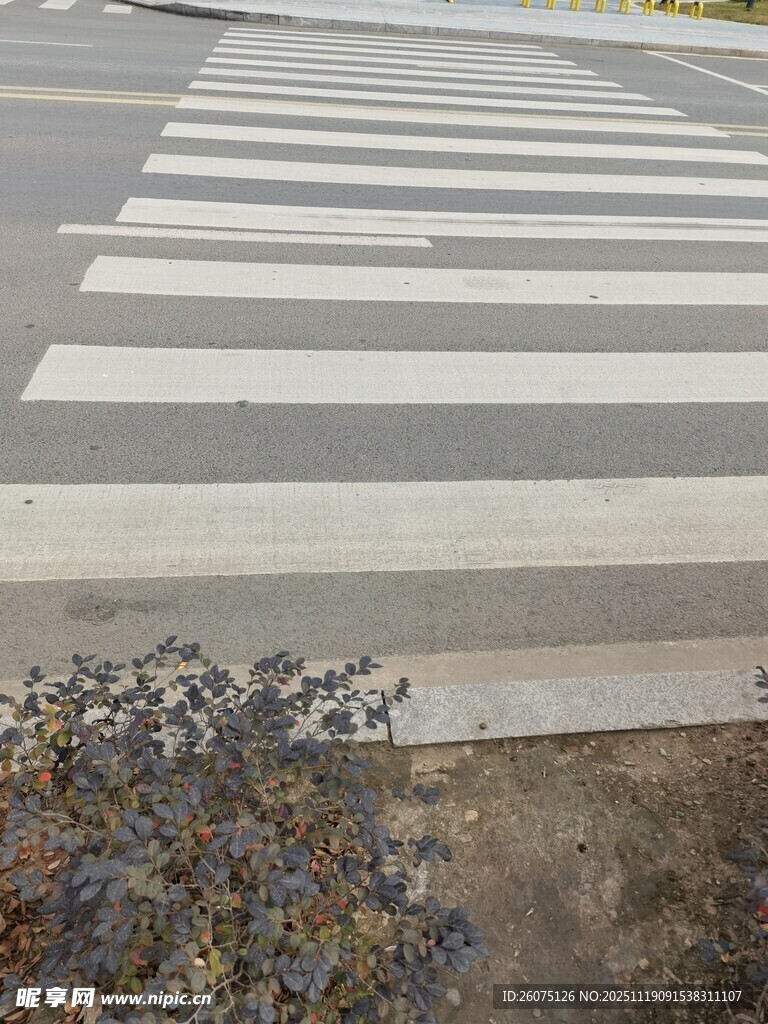 城市道路上的斑马线