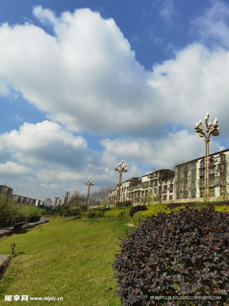 美丽户外景观绿草与建筑