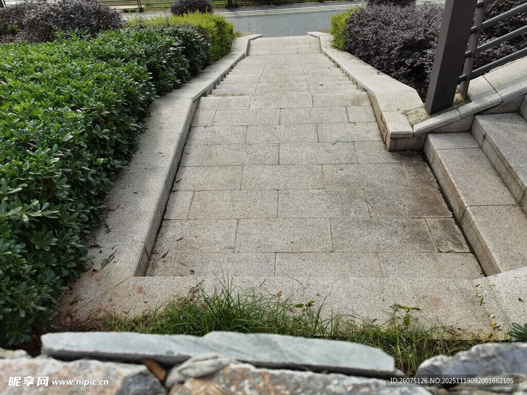 户外水泥小径与绿植景观