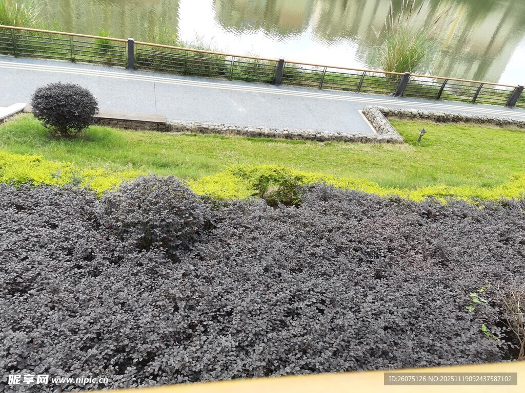 黑色覆盖物装点的景观区域