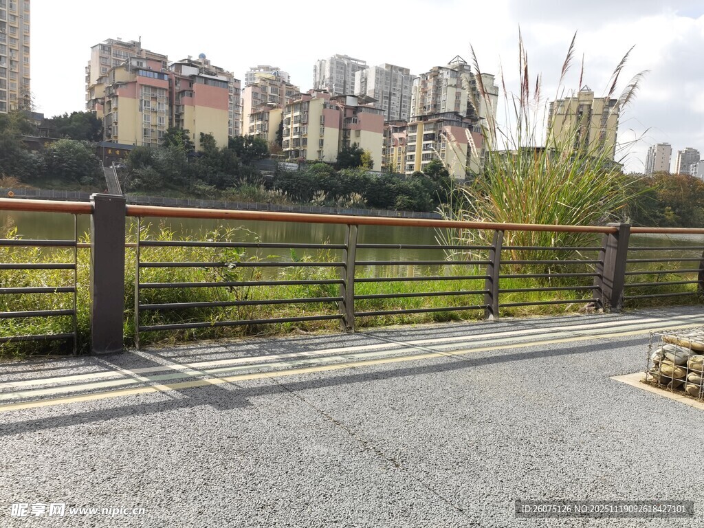 城市路旁景观与远处高楼