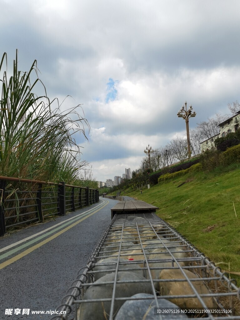 乡村公路旁的田园景象