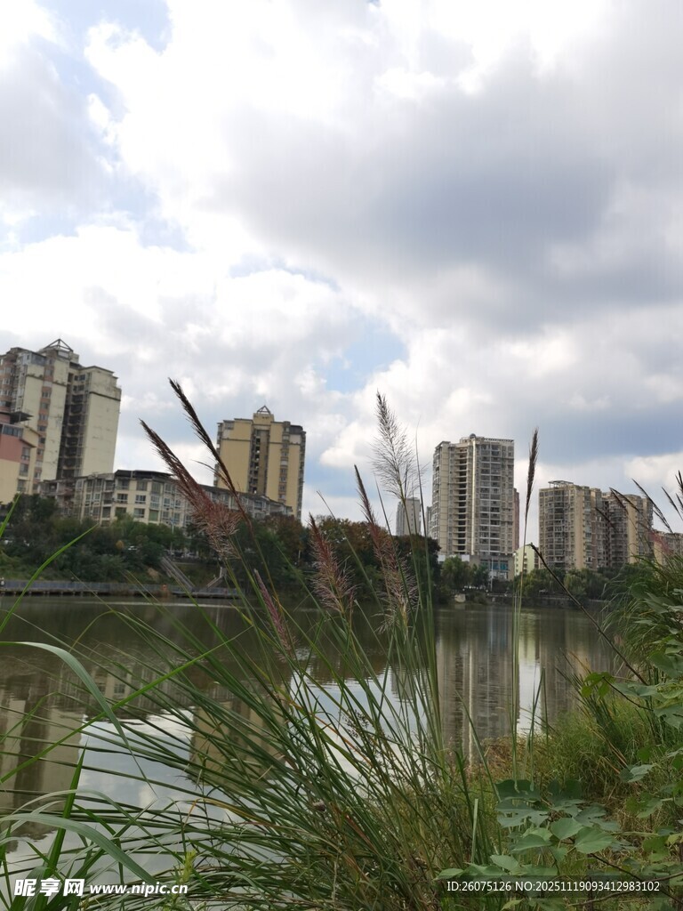 河畔高楼与绿植景观