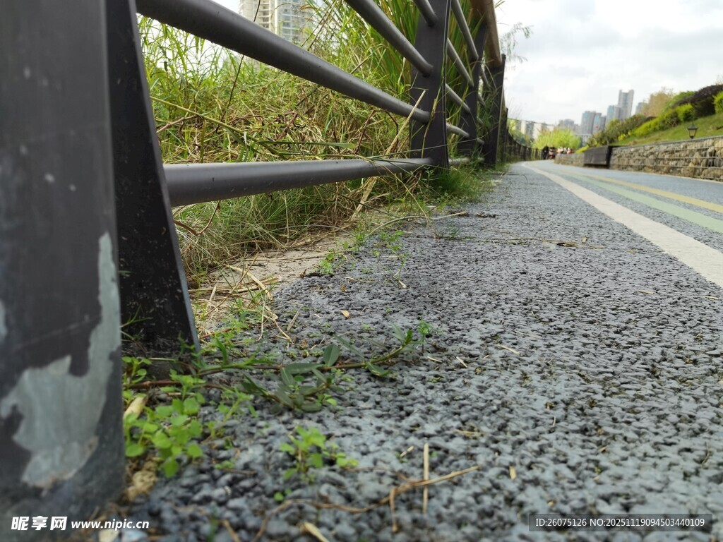 乡村路旁护栏与碎石小径
