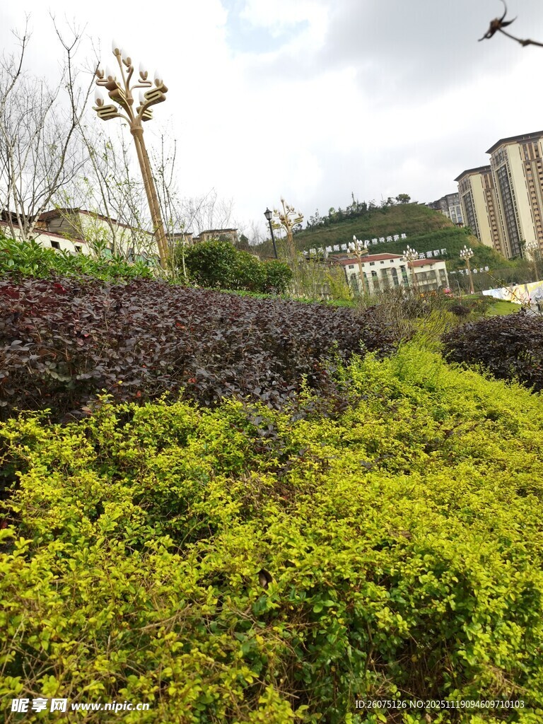 城市中的多彩绿植景观