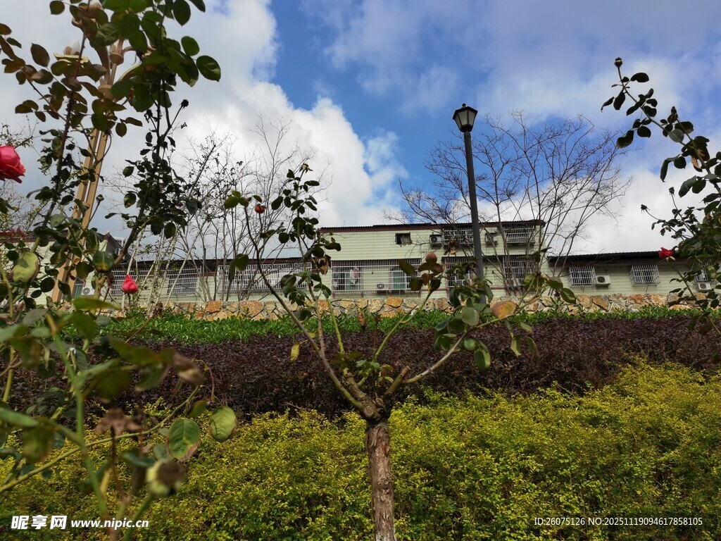 户外绿植与建筑景观