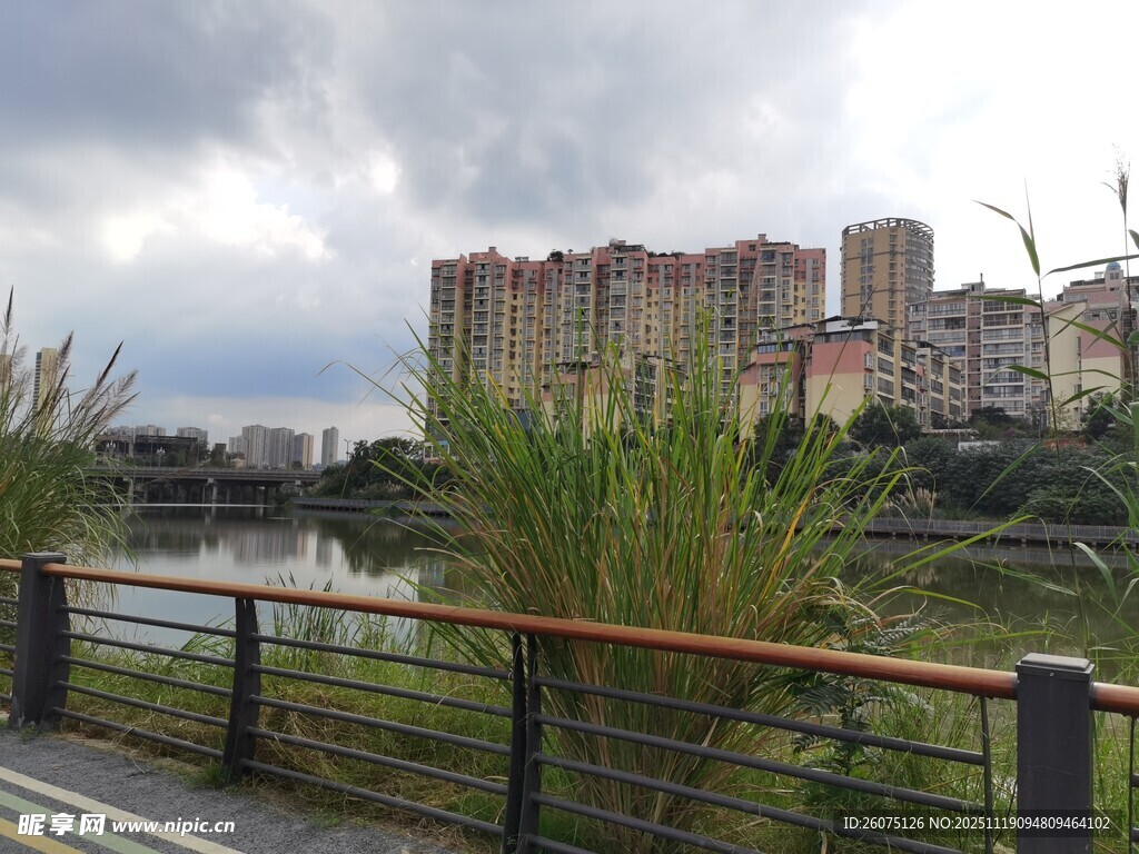 河畔城市景观绿植相伴