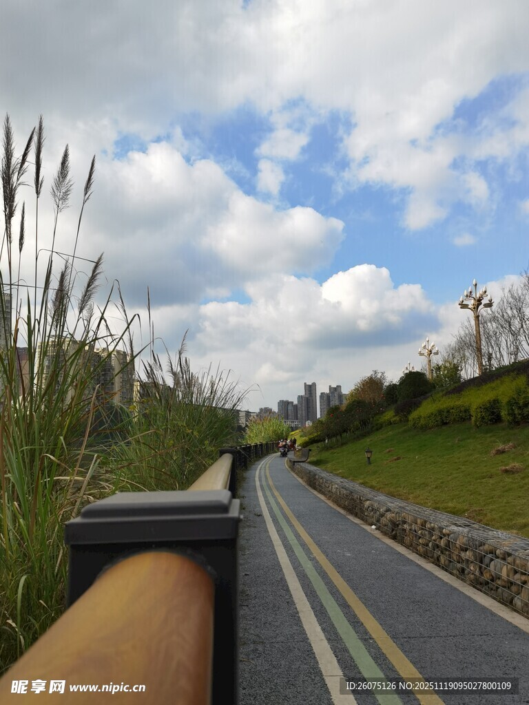 公路旁风景