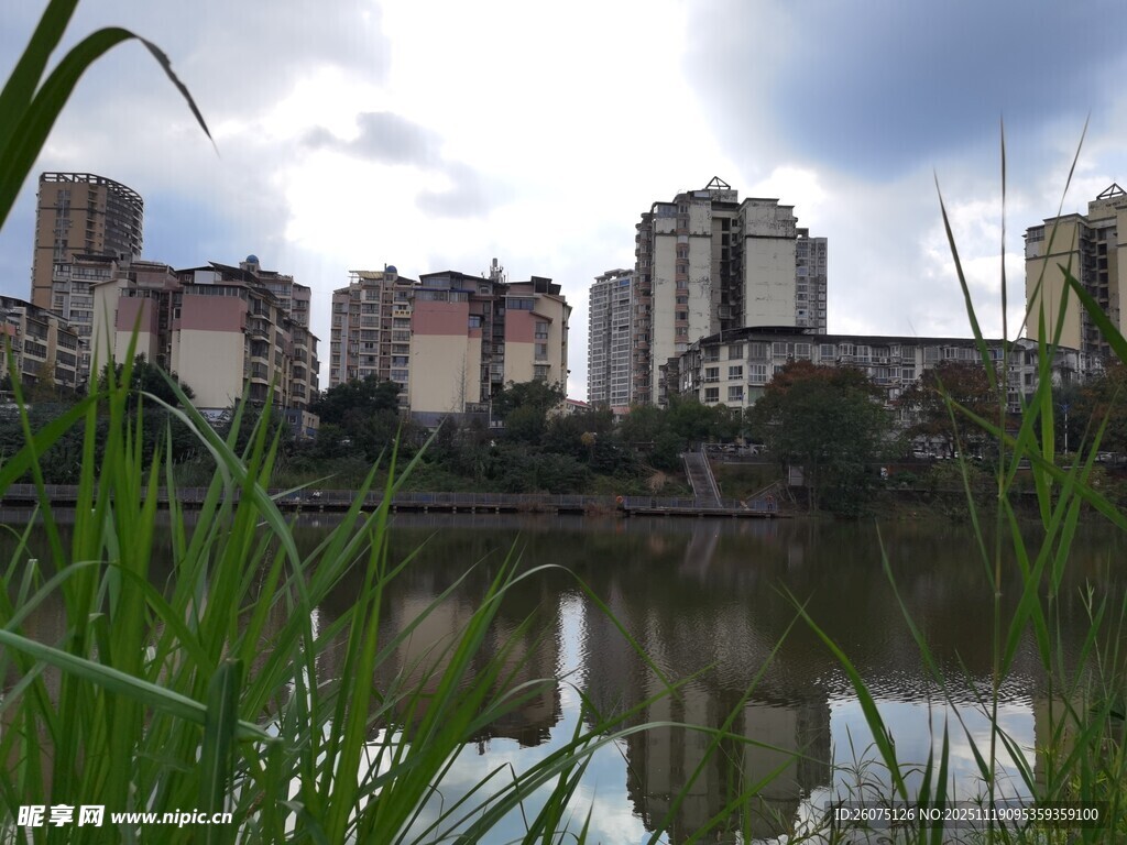 湖畔高楼与葱郁草木景观