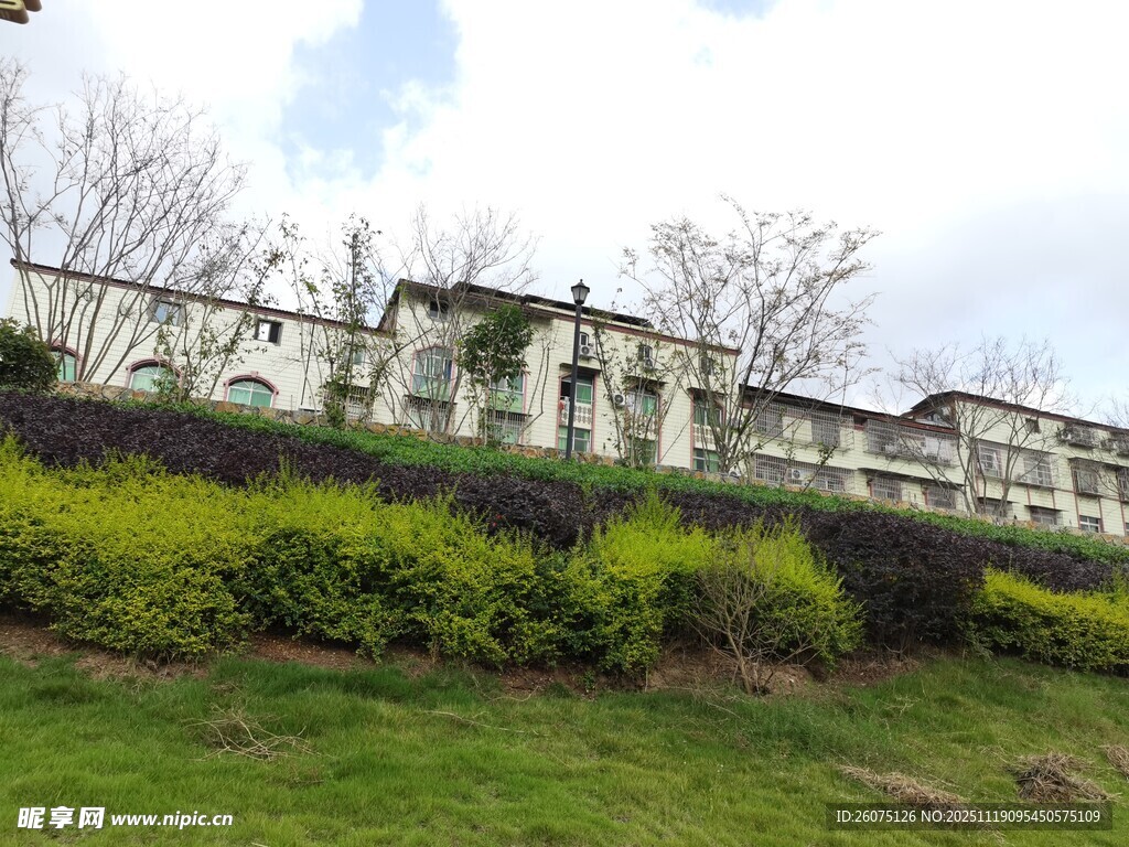 山坡旁的多层建筑景观