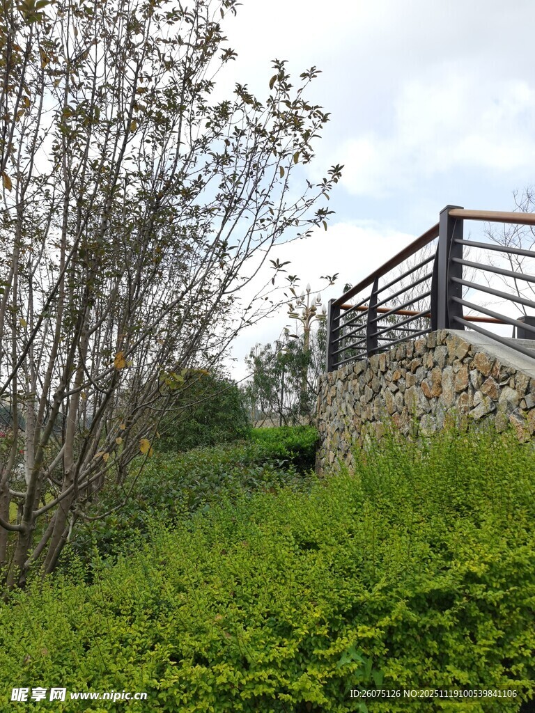 山坡围栏旁的绿植与树木