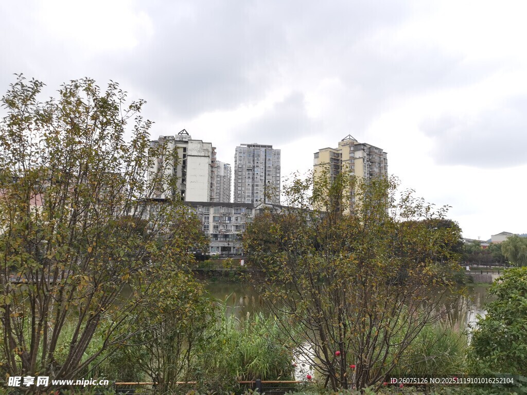城市河畔绿植与高楼景观