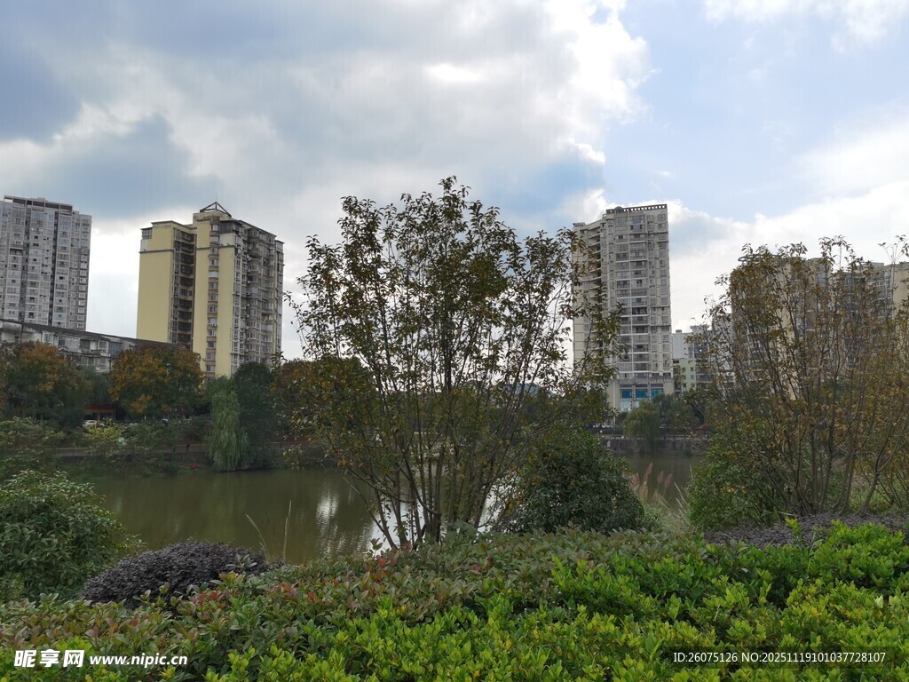 湖畔高楼与绿植景观