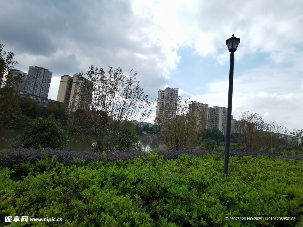 城市绿地中的路灯与高楼