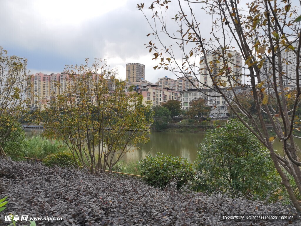 城市边的绿植景观