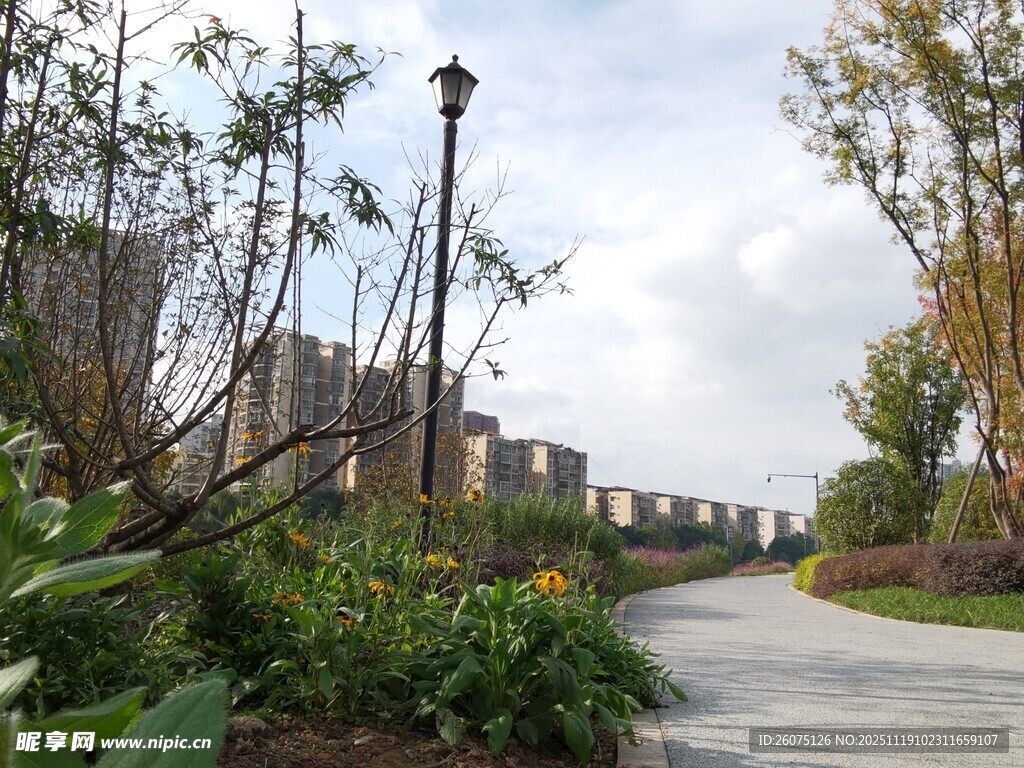 城市中的静谧绿植小径