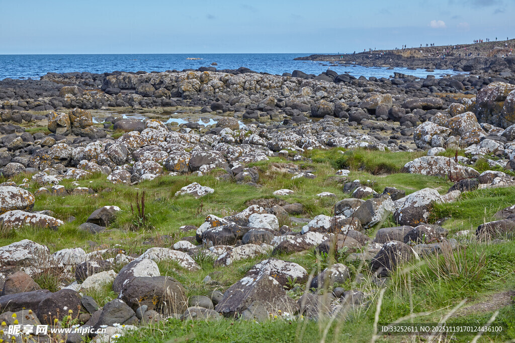 海边石滩与绿意景观
