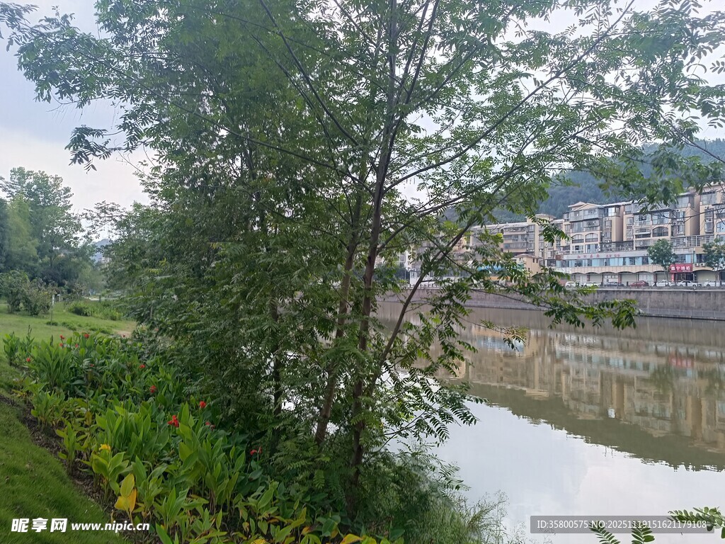 河畔绿树繁花景致