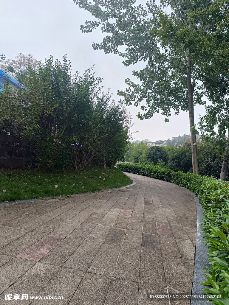 蜿蜒小路旁绿植环绕