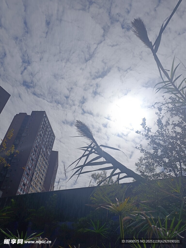 城市中仰视的天空与建筑