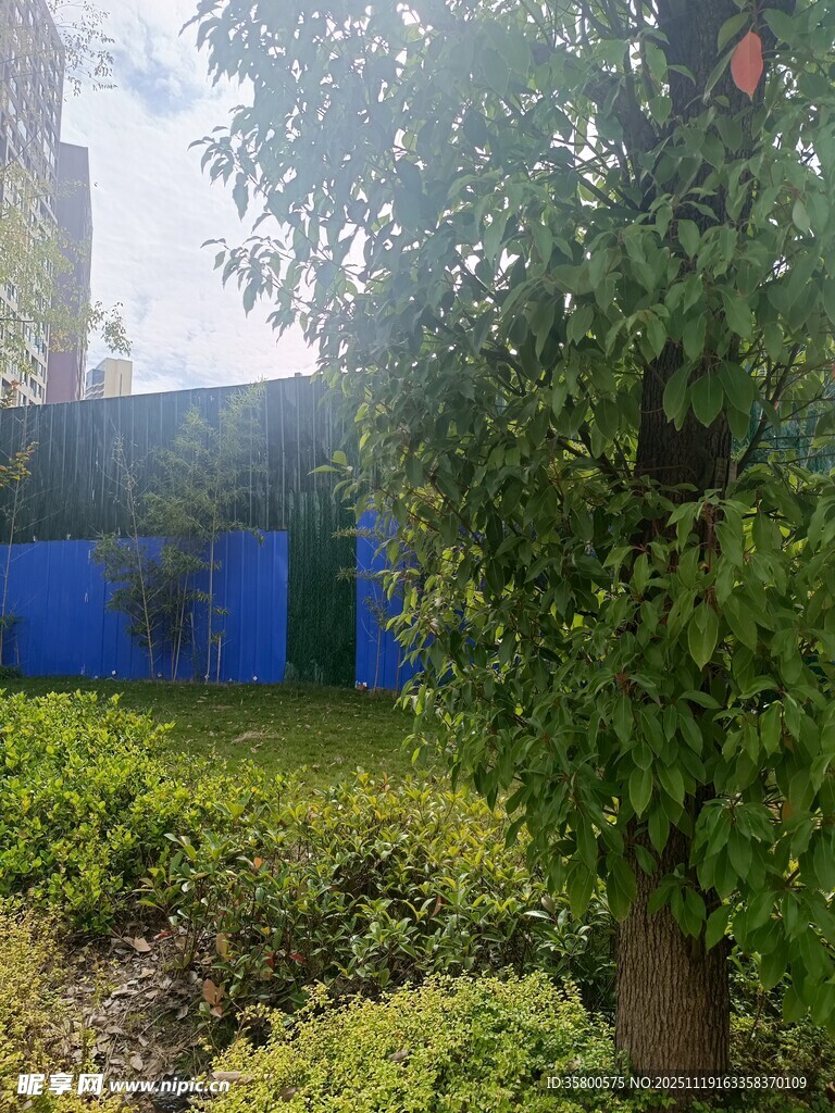 户外绿植与蓝色设施景观