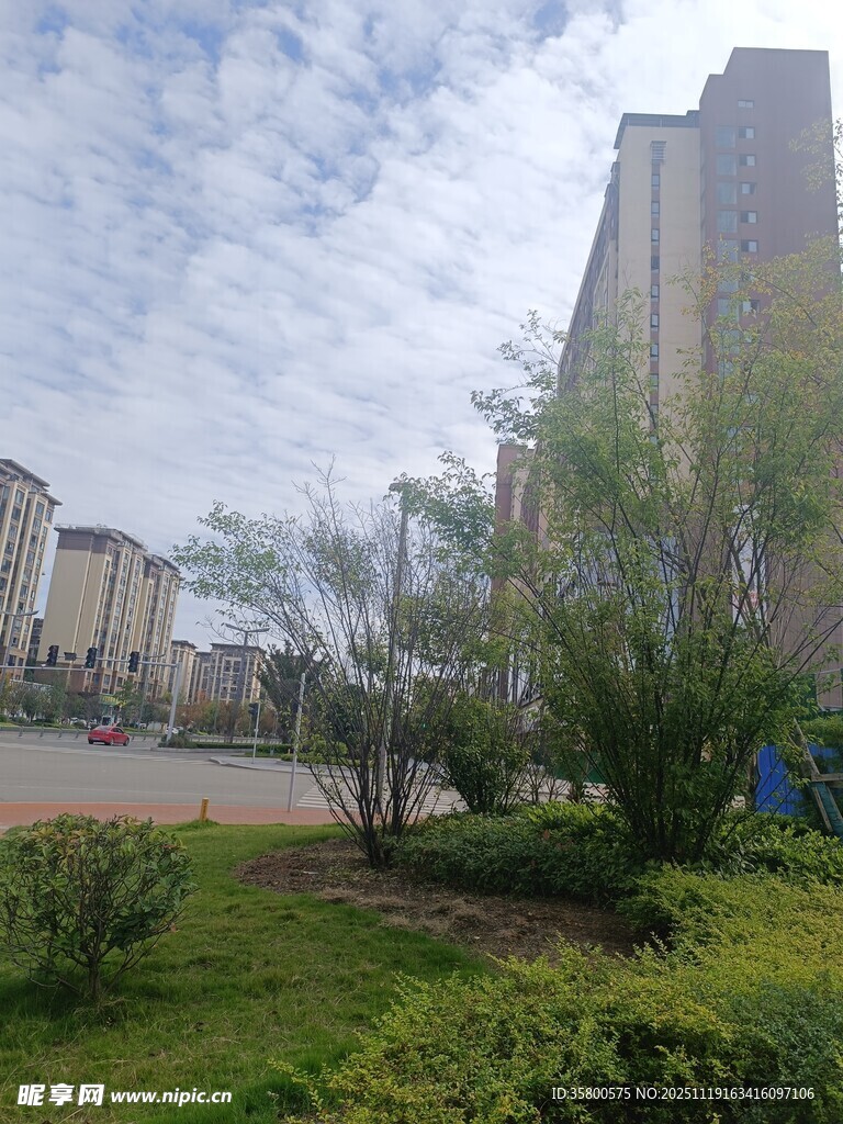 小区内的绿化与建筑景观