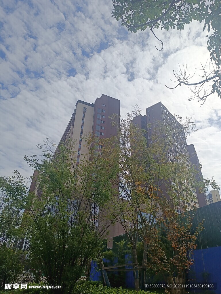 城市高楼与周边绿植景观