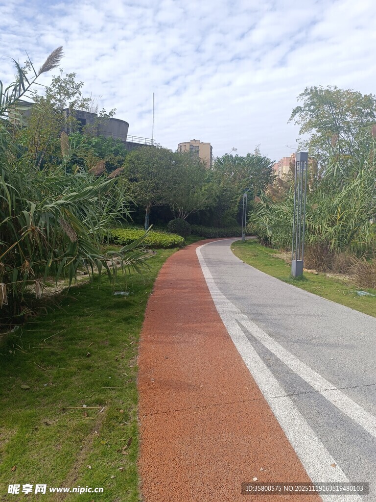 城市中多彩的林荫步道