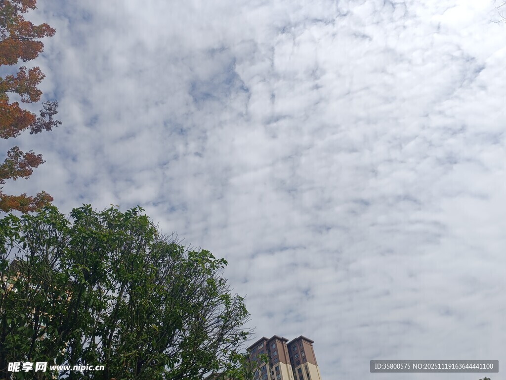 蓝天白云下的绿树与建筑