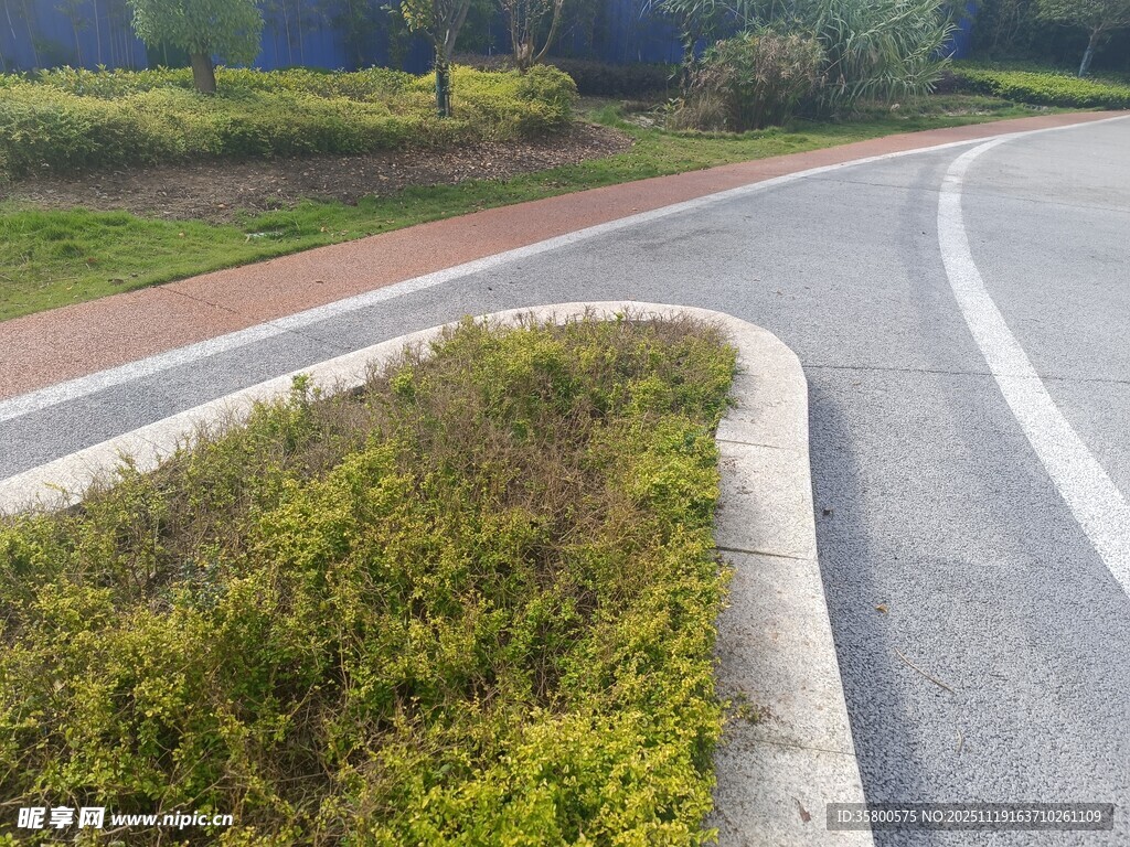 道路旁的绿植景观