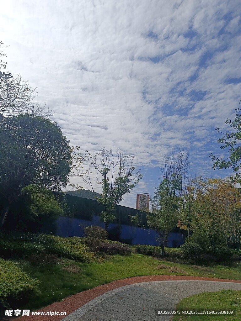 公园小路旁的蓝天绿树