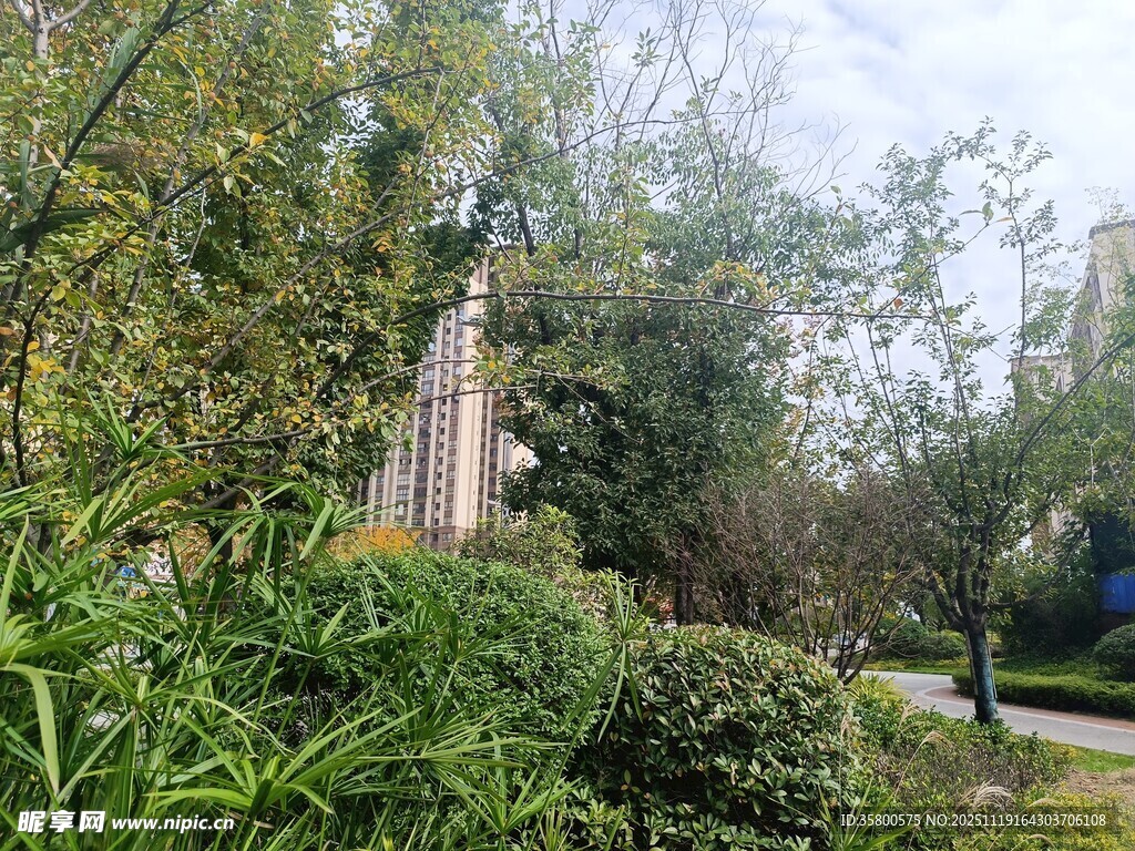 园林绿植中的古朴景致