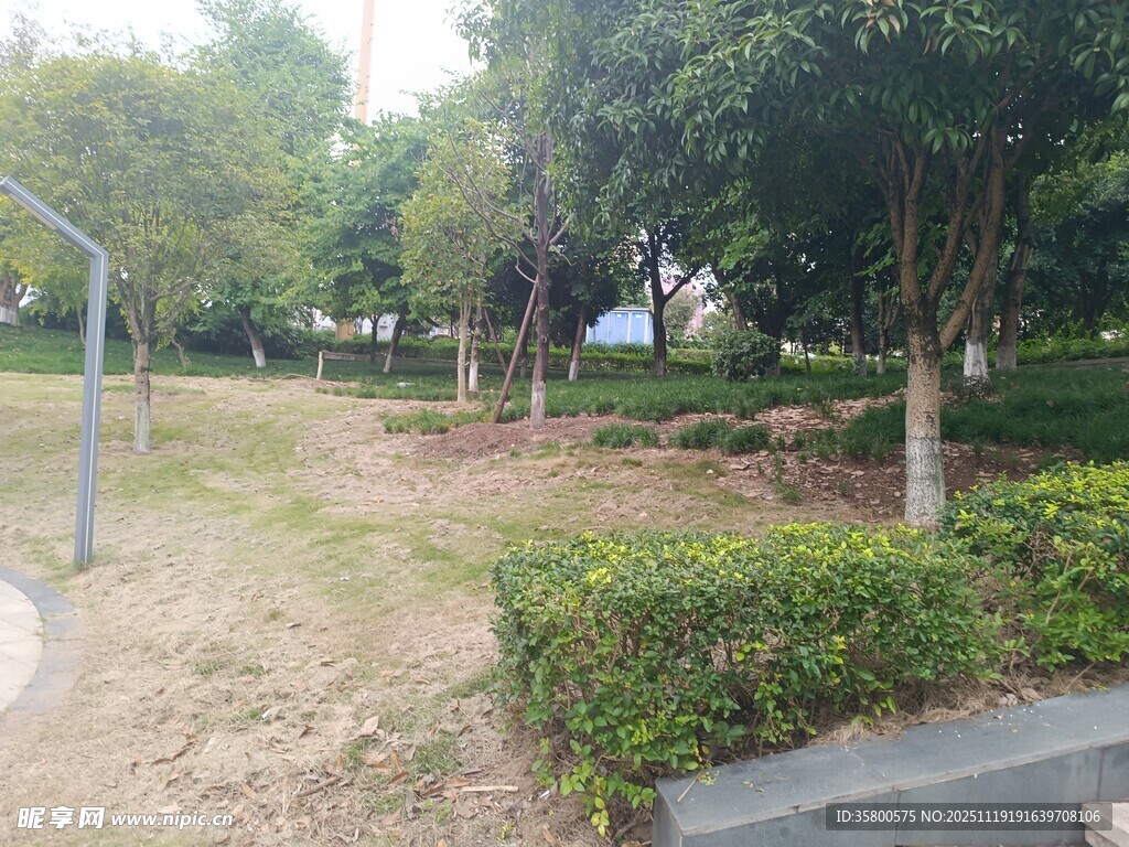 城市公园绿意盎然景致