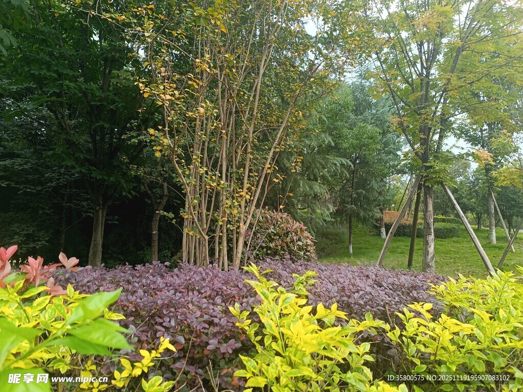 多彩园林植物景观