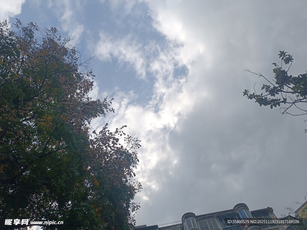 蓝天白云下的树木与建筑