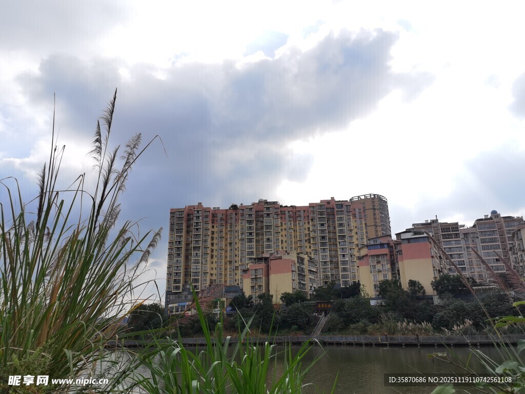 河畔高楼与葱郁草木景观