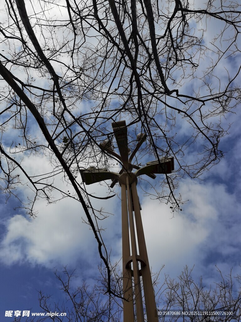 蓝天枯枝下的高耸十字架