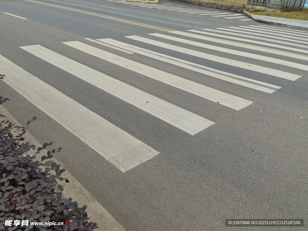 道路上的白色斑马线