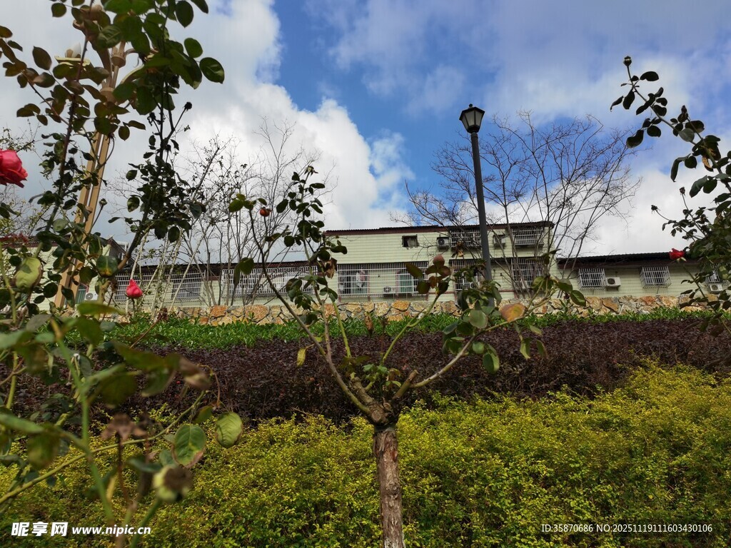 户外绿植与建筑景观