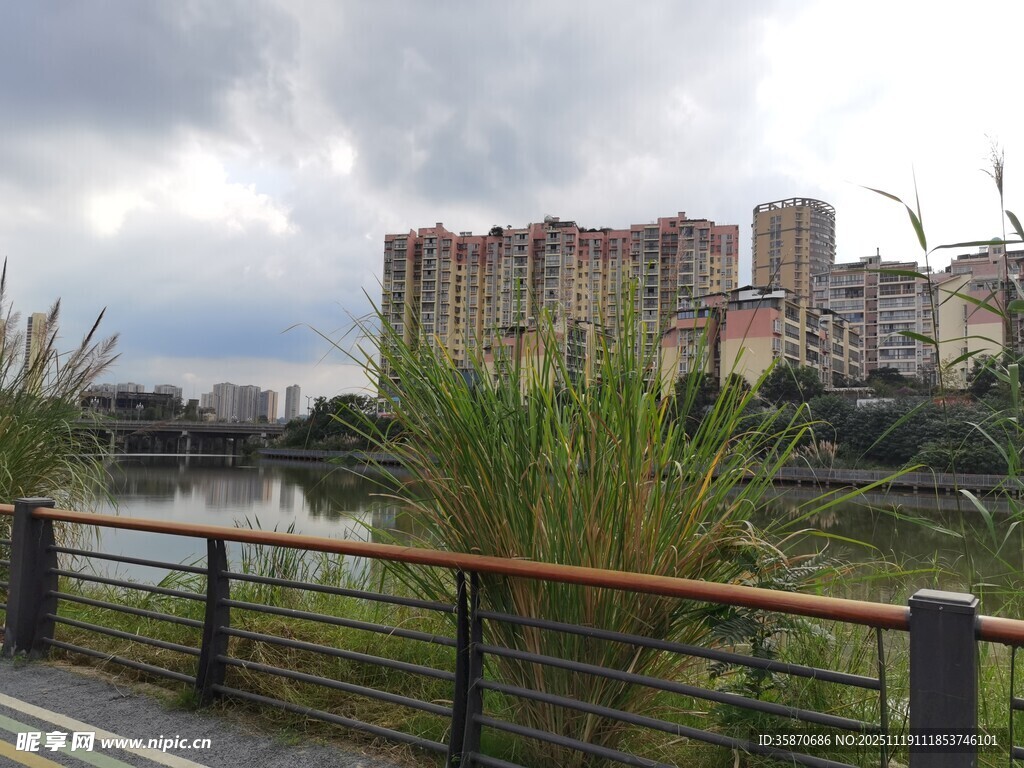 河畔城市景观绿植相伴