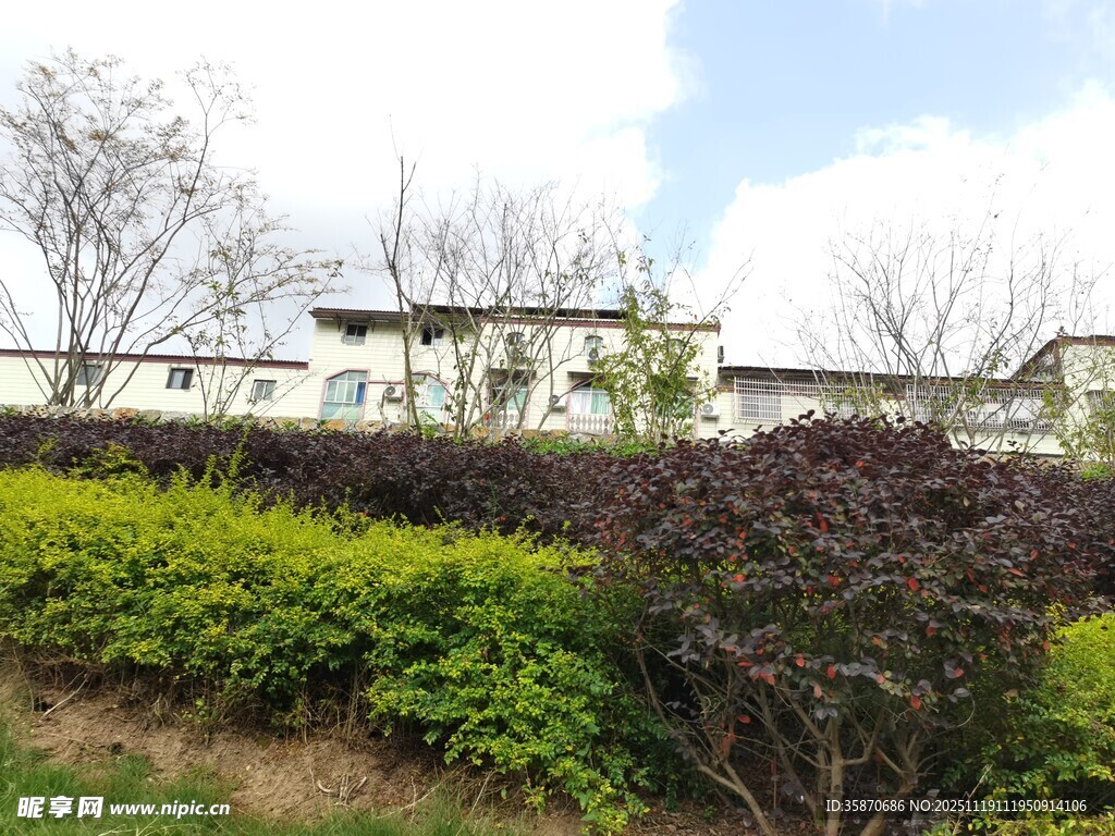 庭院绿植环绕的建筑景观