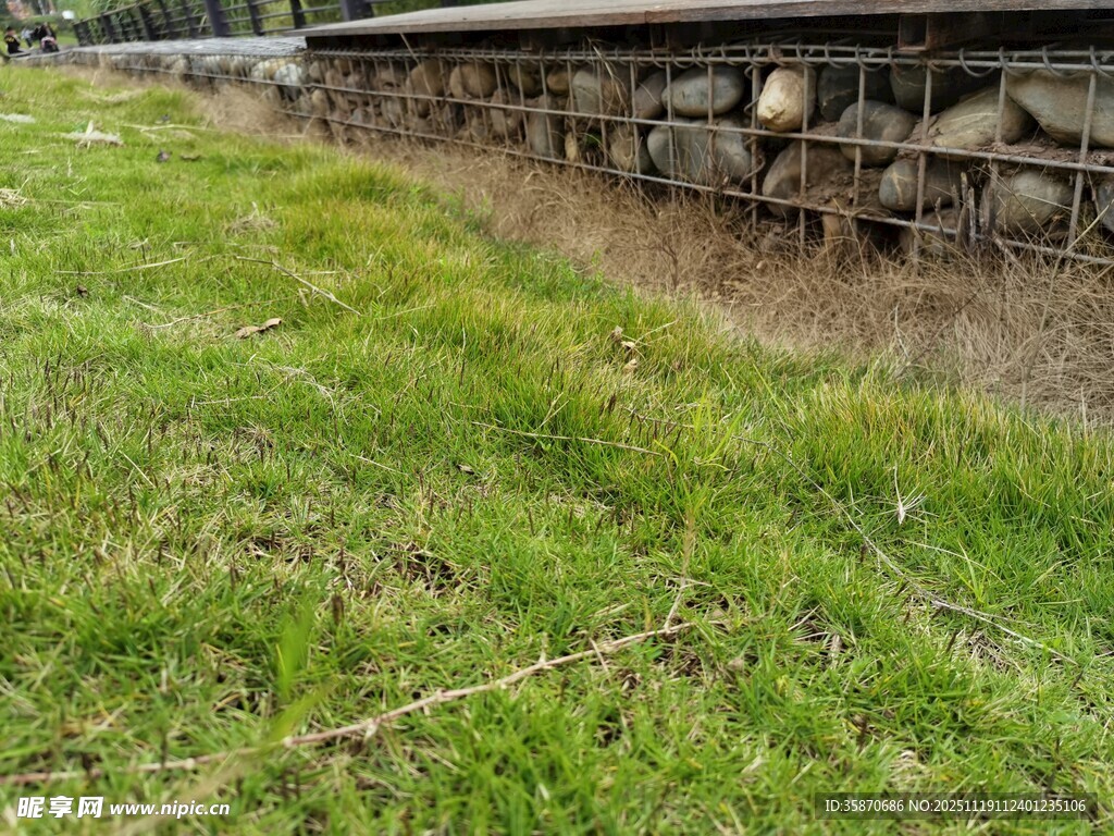 户外草地旁的木质堆放物
