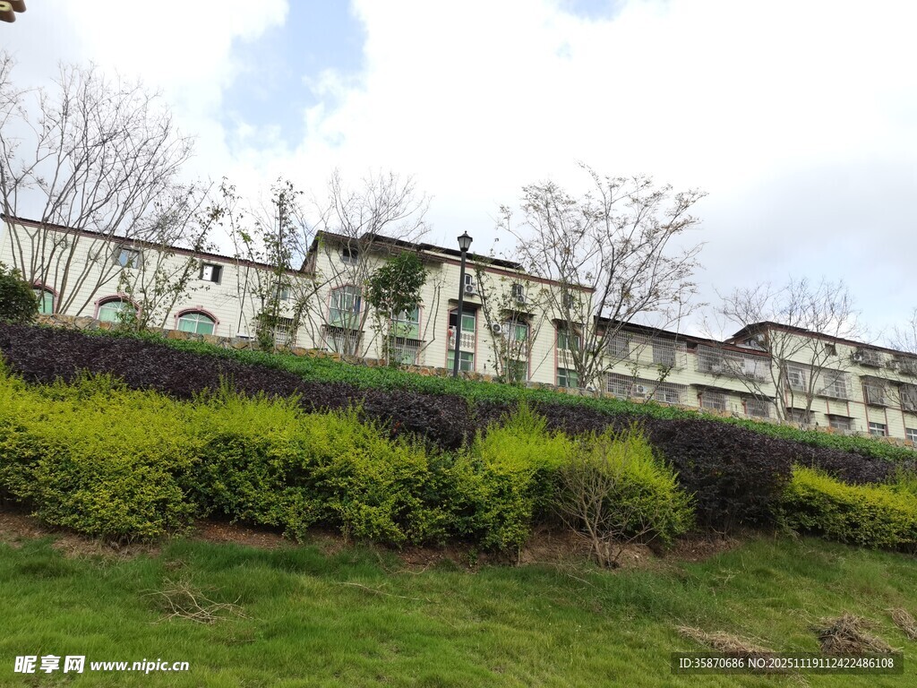 小区绿植环绕的楼房景观