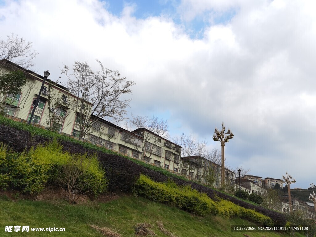 户外建筑景观与绿植