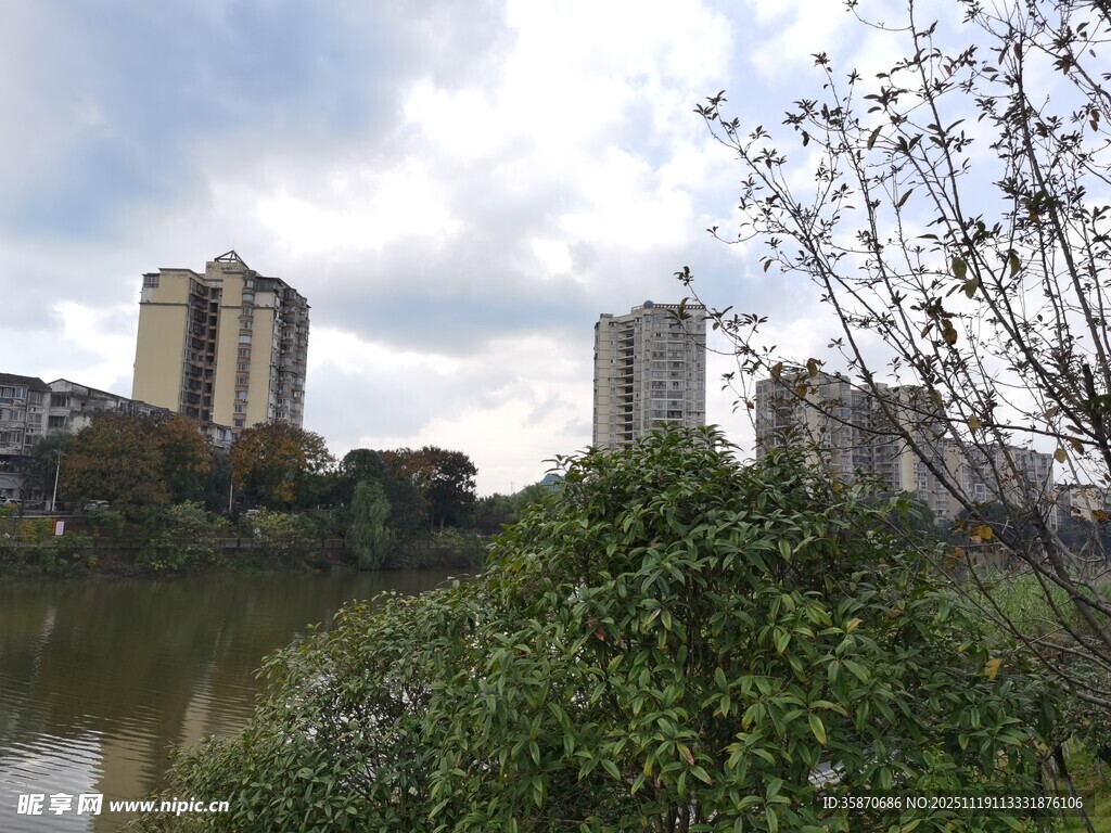 河畔高楼与绿植景观