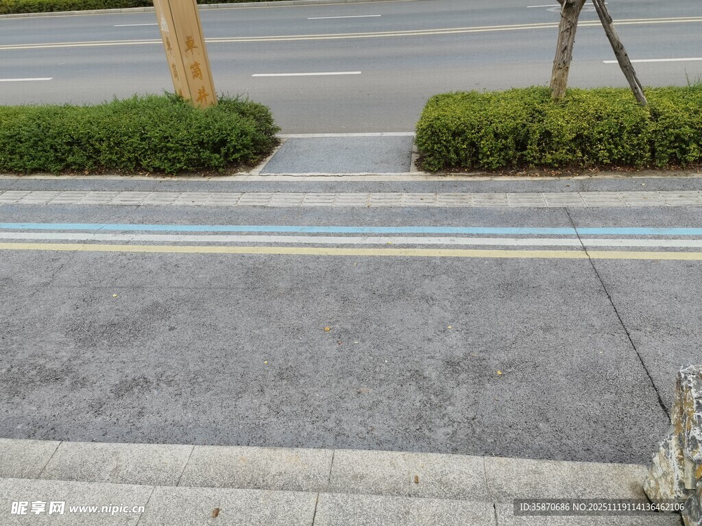 道路旁的绿化带景观