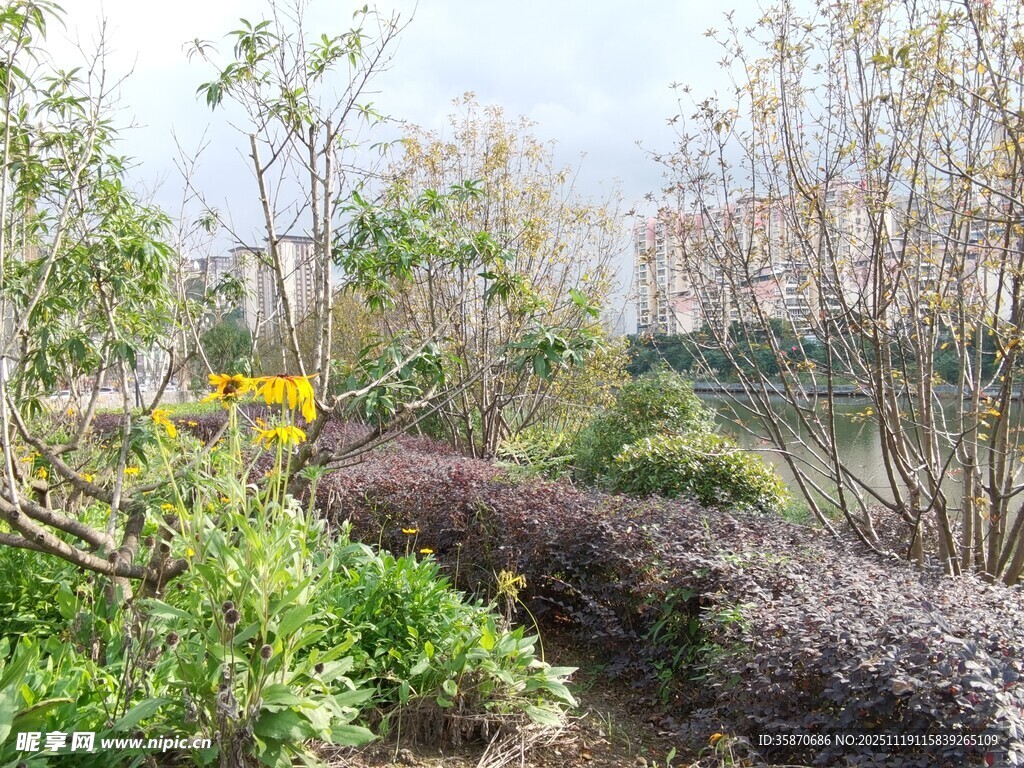 春日园林景观一角