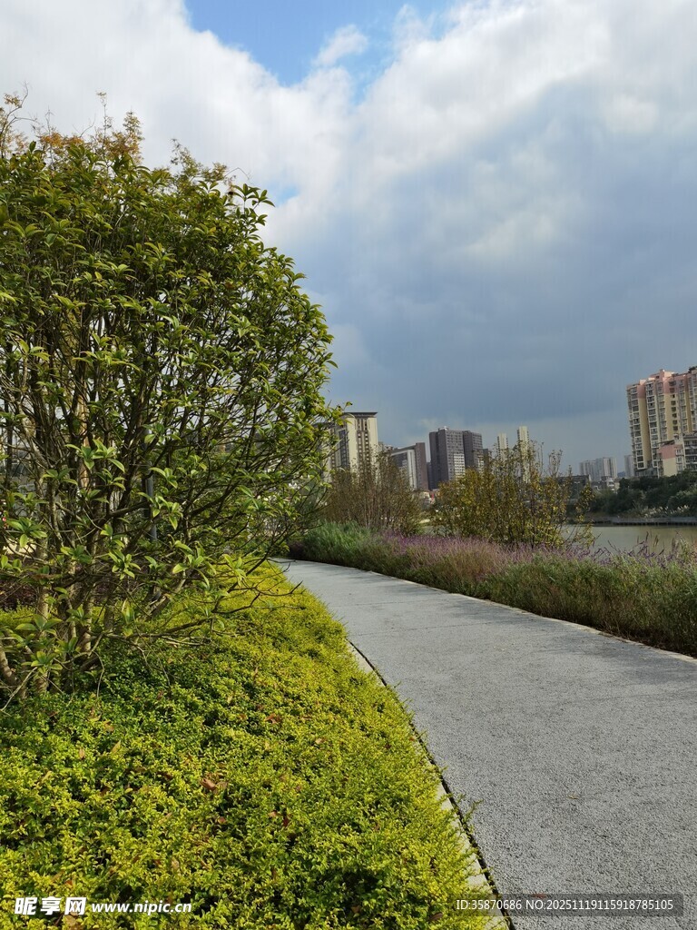 城郊小路旁的绿植景观