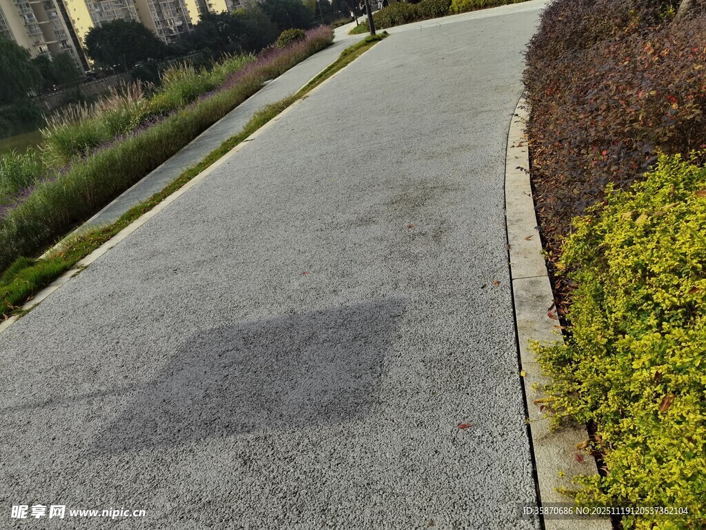 城市中的沥青步道与绿植