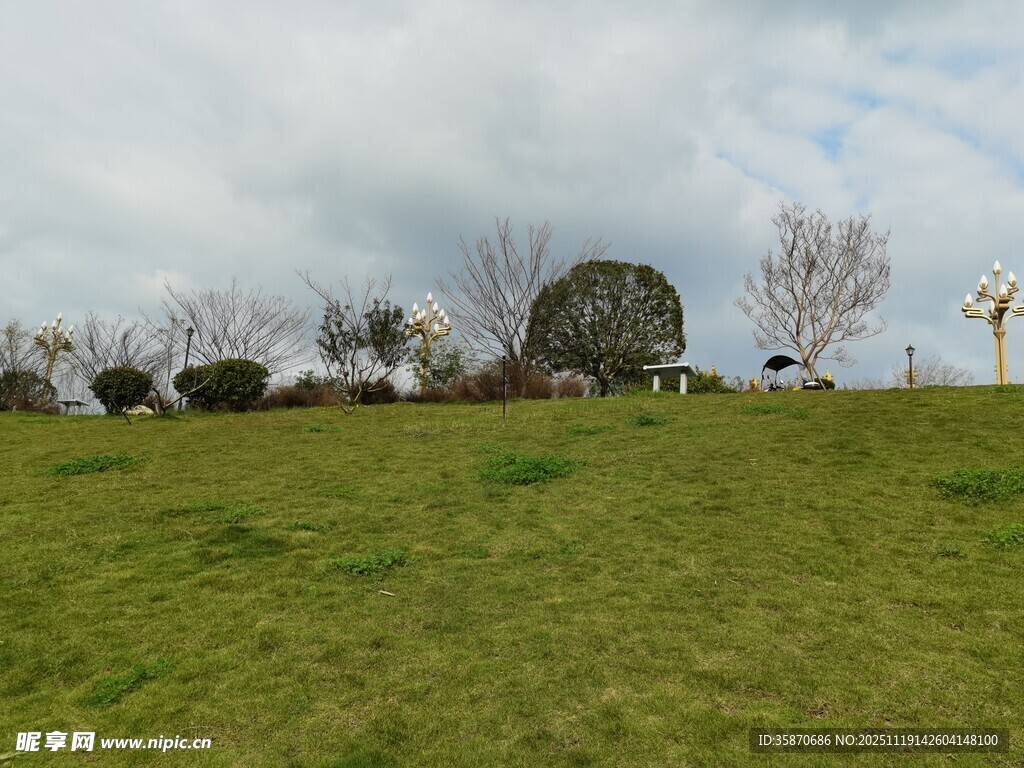 绿草如茵的开阔户外景致